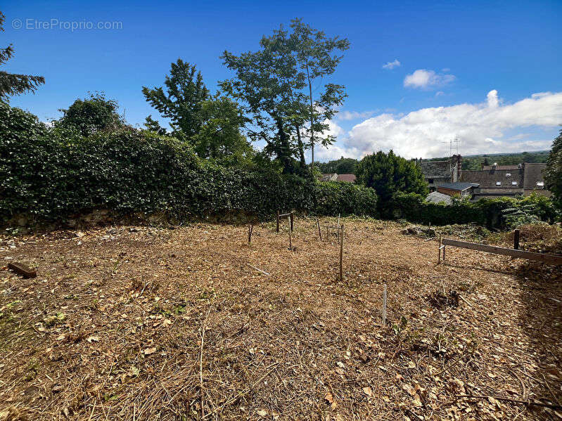 Terrain à VAUX-SUR-SEINE