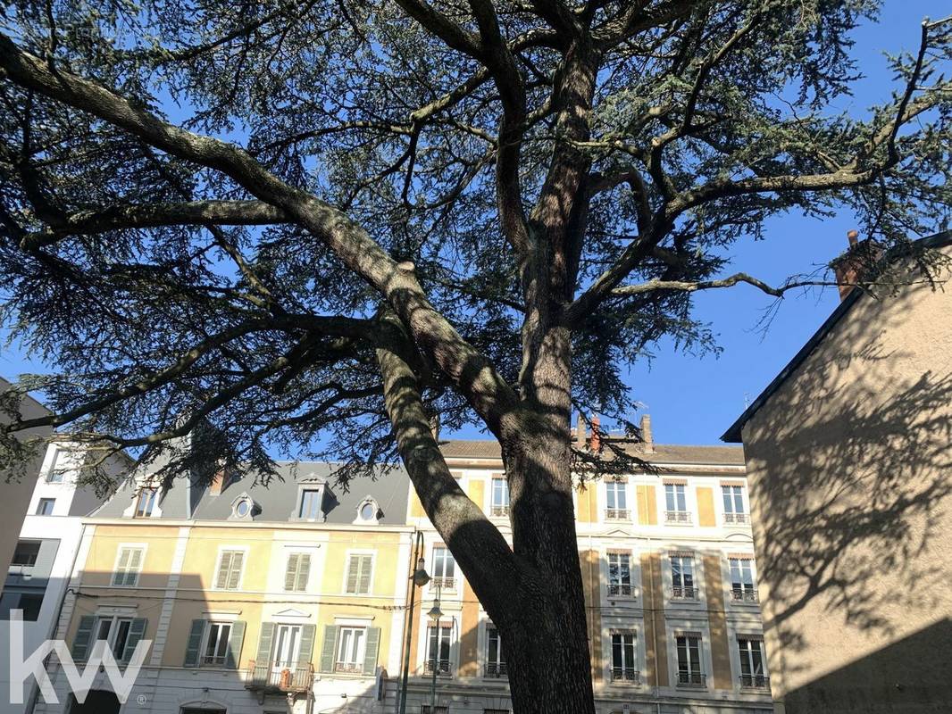 Appartement à TASSIN-LA-DEMI-LUNE