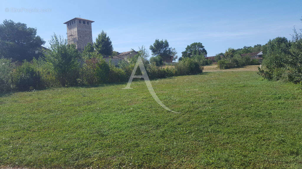 Terrain à ALBI