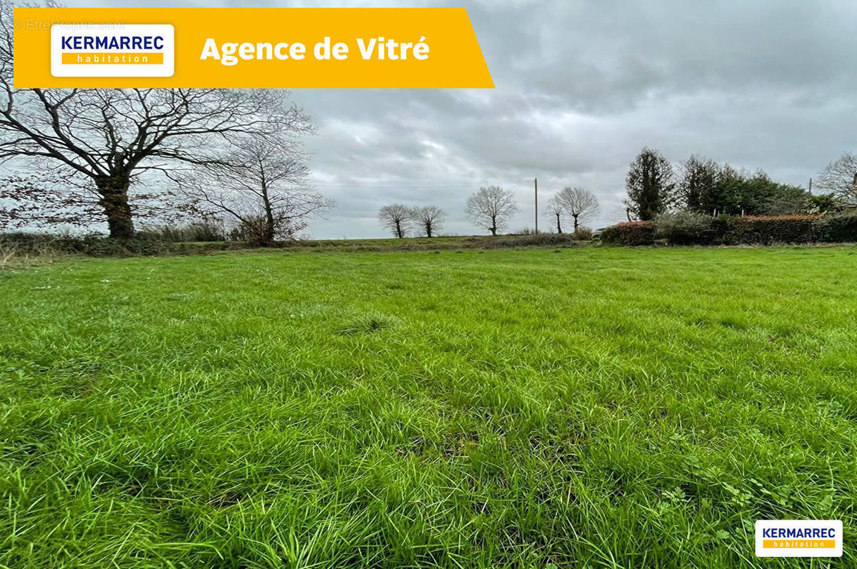 Terrain à LOUVIGNE-DE-BAIS