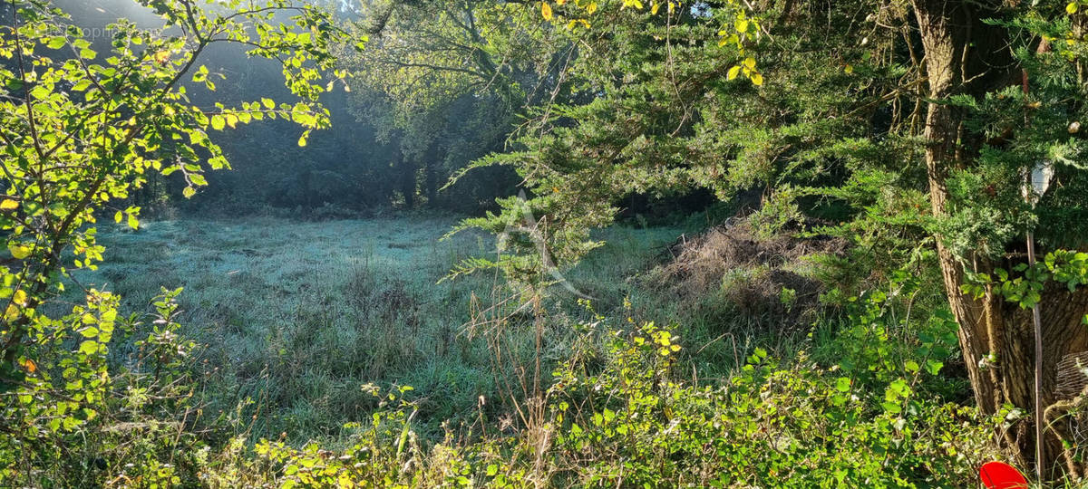 Terrain à SAINT-HILAIRE-DE-RIEZ