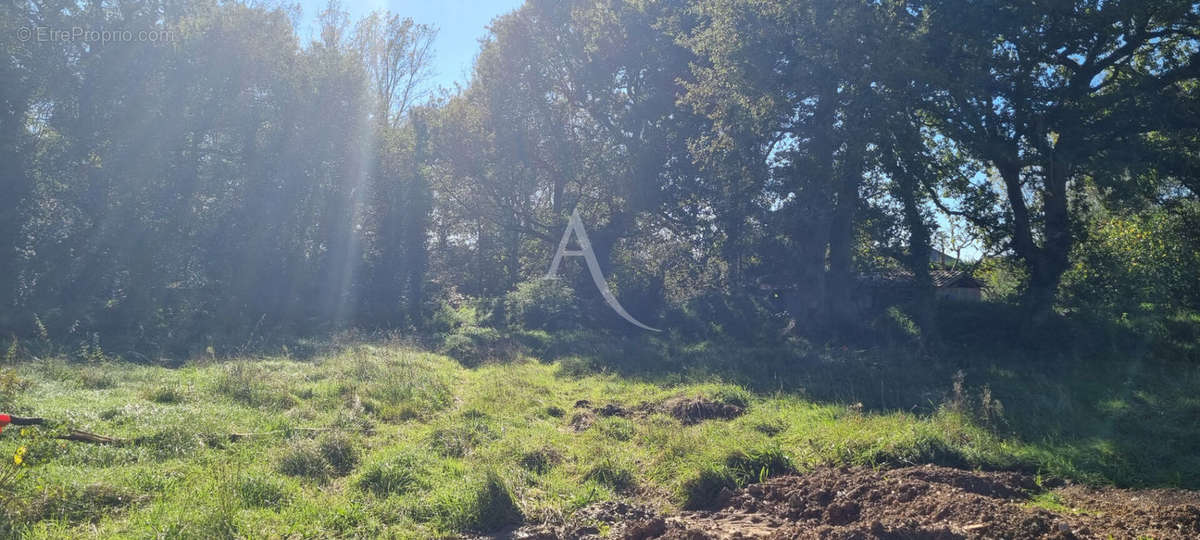 Terrain à SAINT-HILAIRE-DE-RIEZ