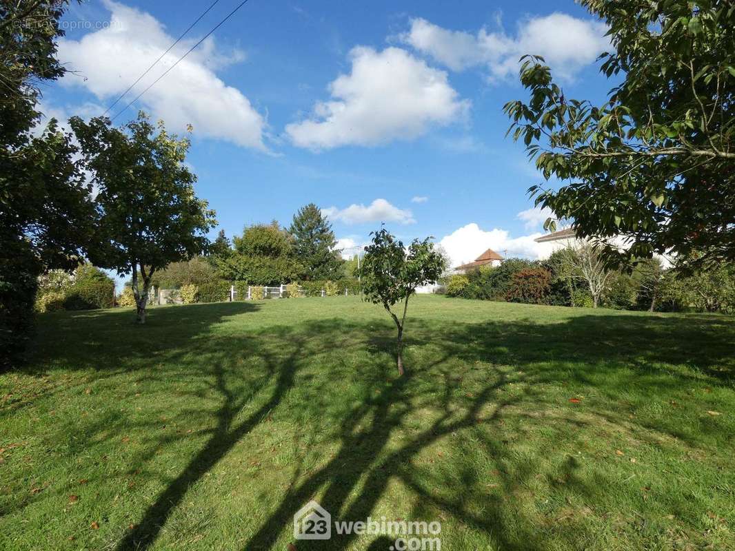 Arboré d&#039;essences variées. - Terrain à VOUNEUIL-SUR-VIENNE