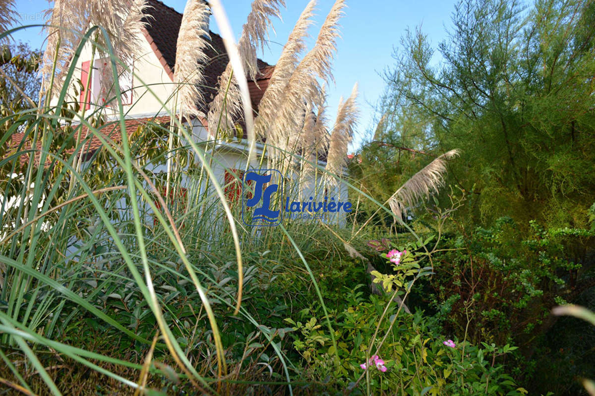 Maison à AUDINGHEN