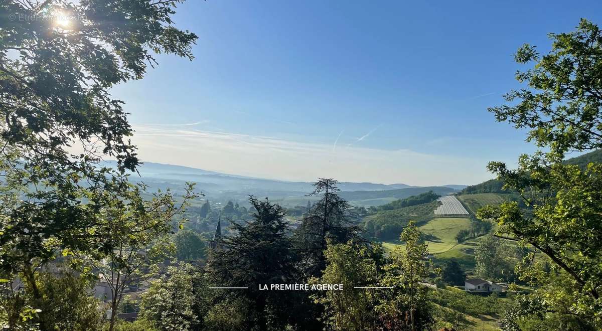 Terrain à SAINT-ROMAIN-DE-POPEY