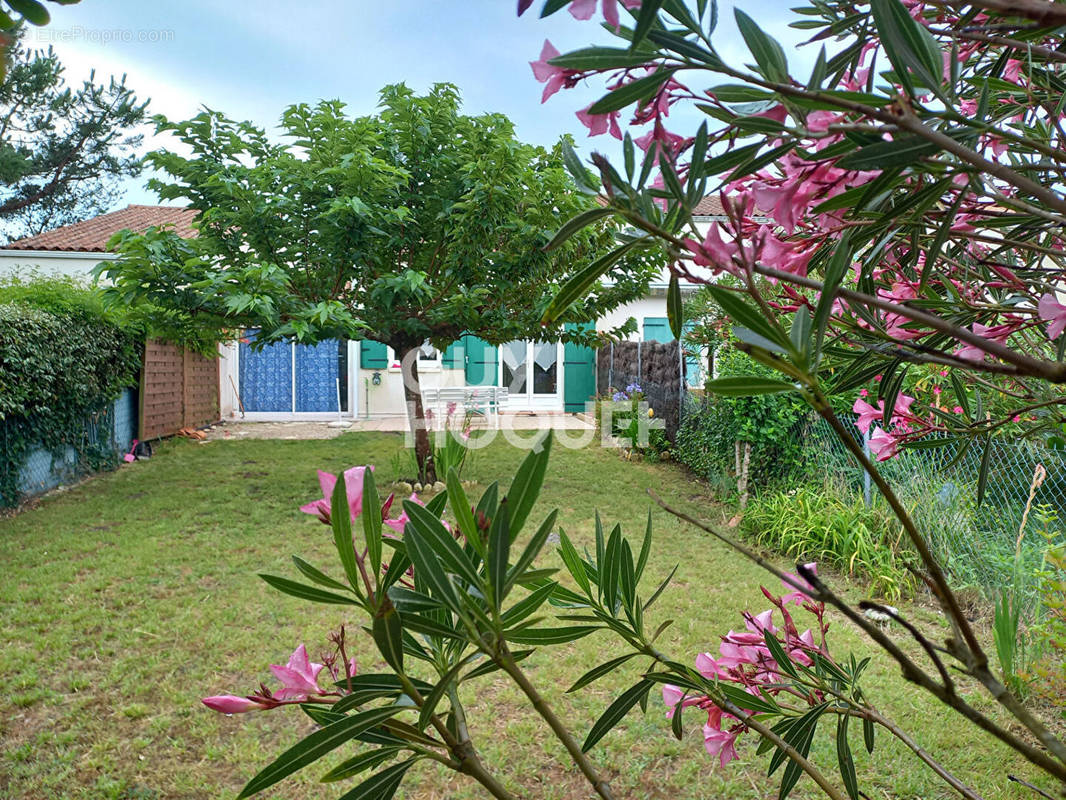 Maison à DOLUS-D&#039;OLERON