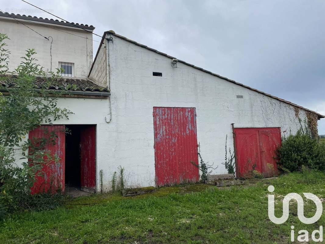 Photo 1 - Appartement à SAINT-SULPICE-DE-FALEYRENS