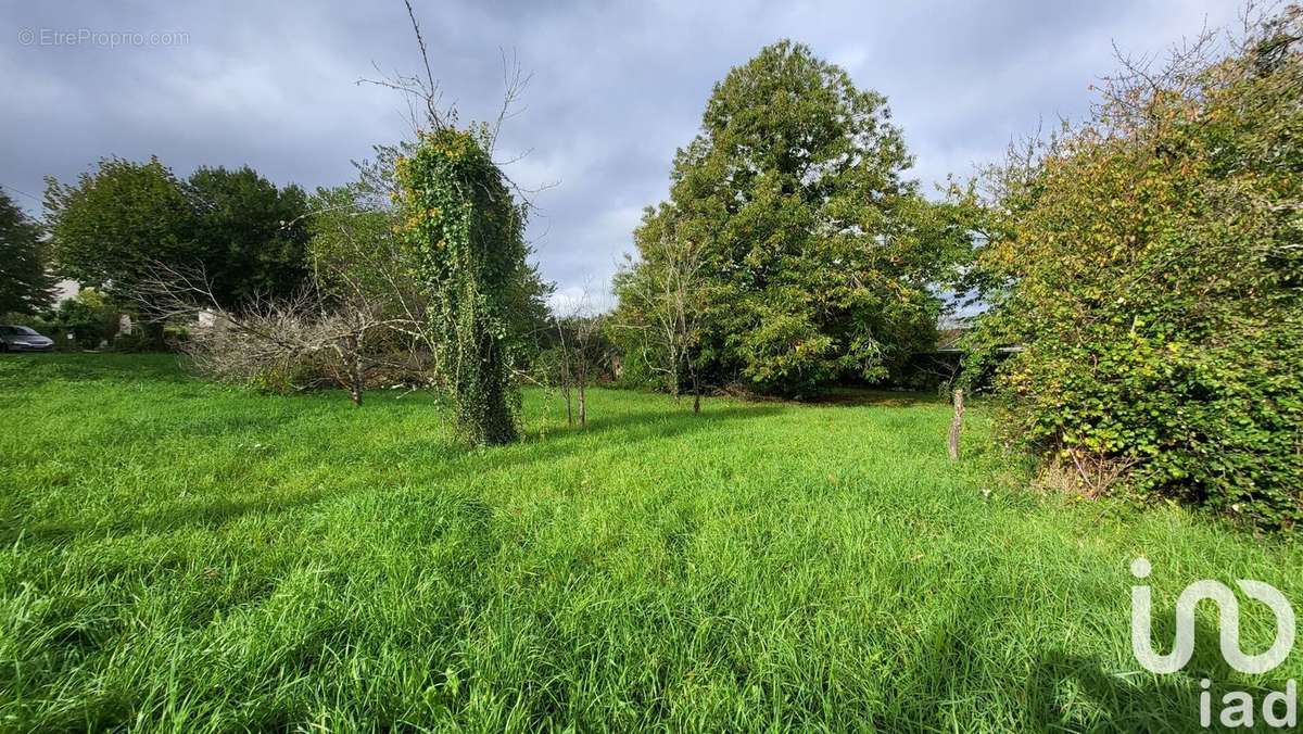 Photo 2 - Terrain à LUSSAULT-SUR-LOIRE