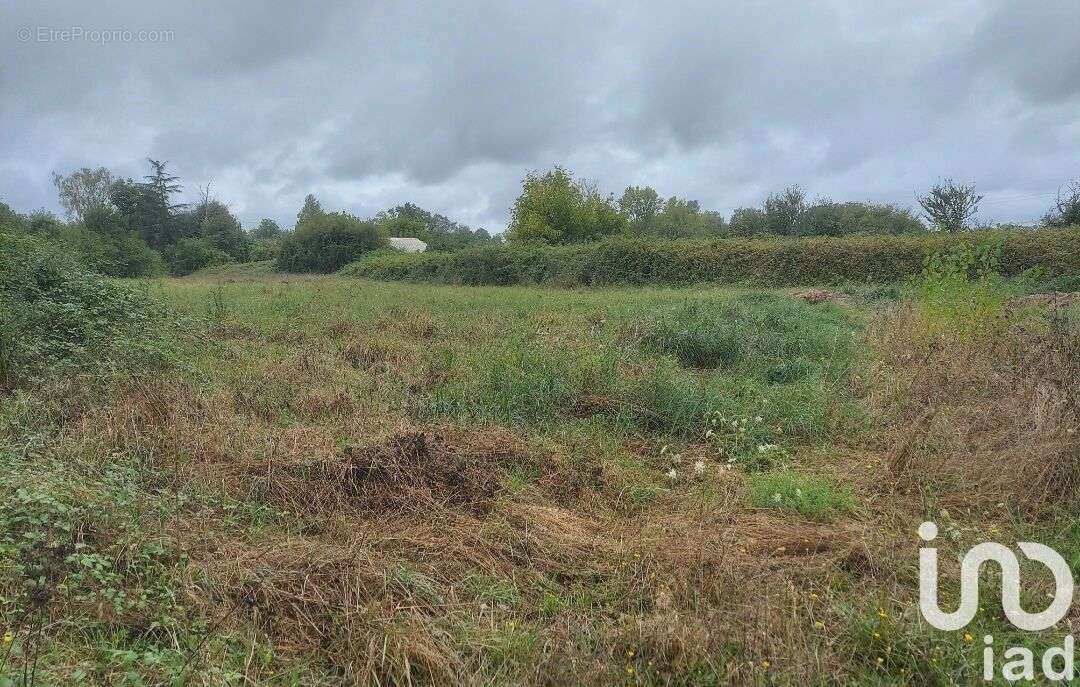 Photo 2 - Terrain à SAINT-SULPICE-ET-CAMEYRAC