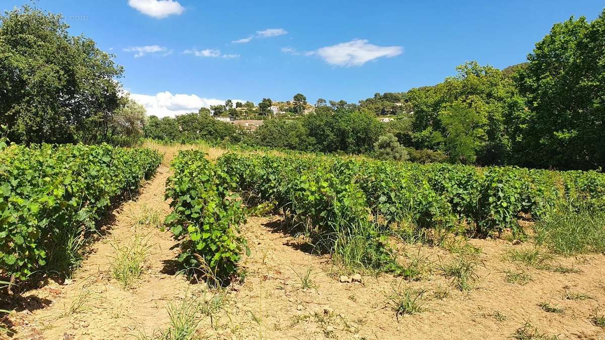 Appartement à LE CASTELLET