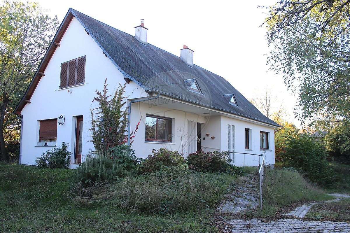 Maison à SAINT-JEAN-DE-BRAYE