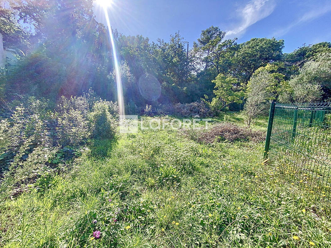 Terrain à LE PRADET