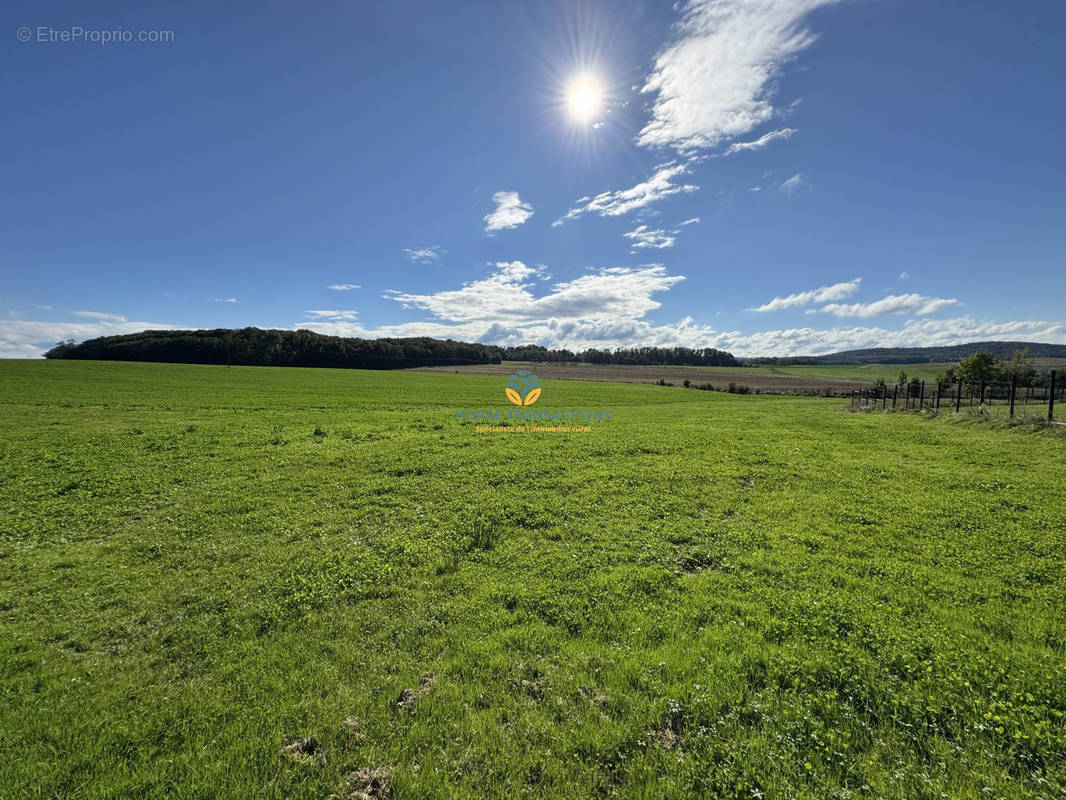 Terrain à SAULX