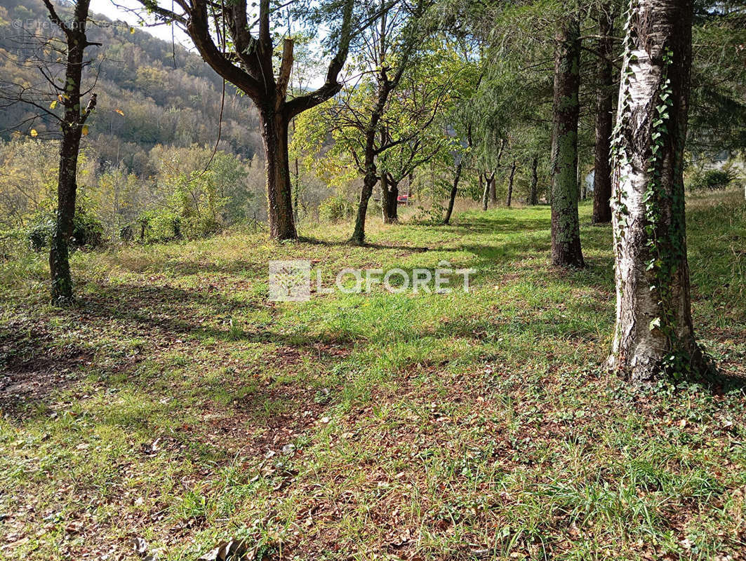 Terrain à PRATS-DE-MOLLO-LA-PRESTE