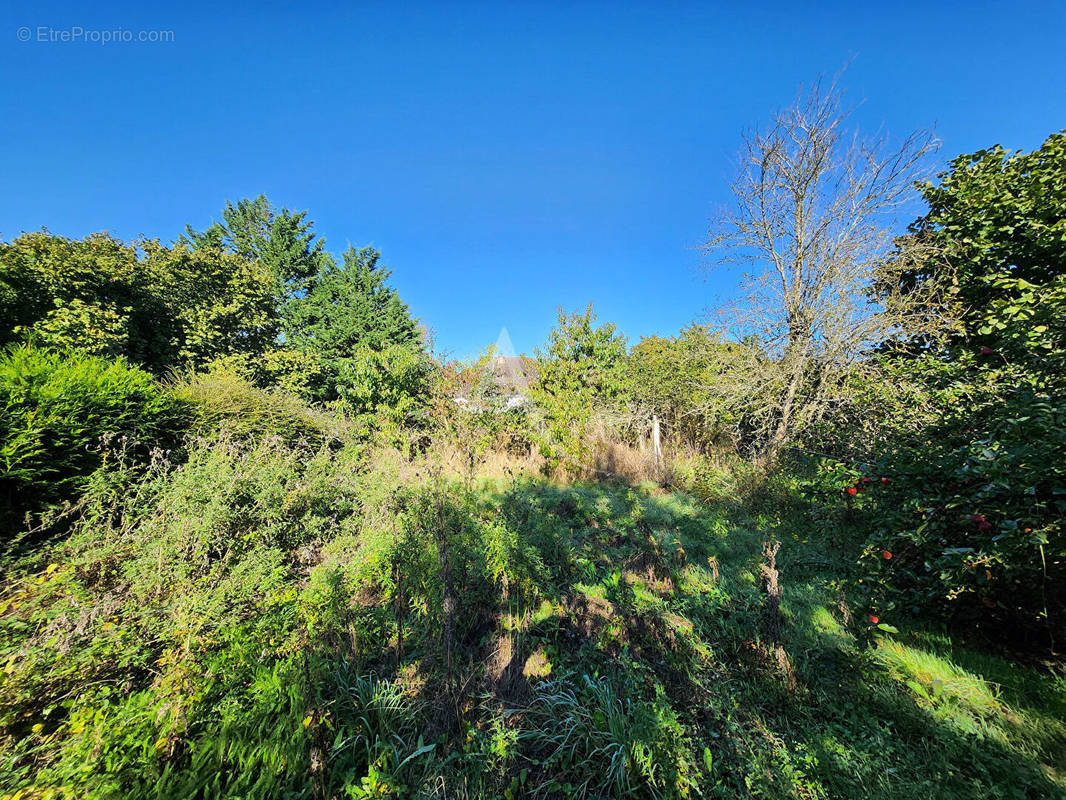 Terrain à DOURDAN