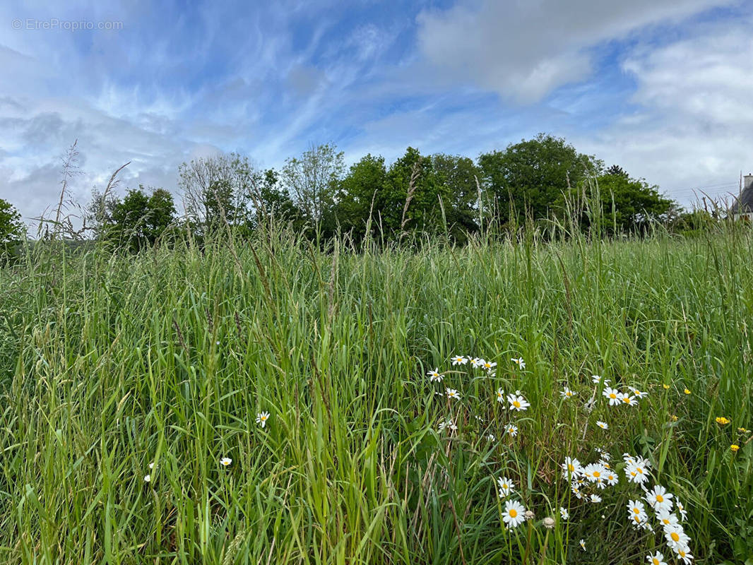 Terrain à LOPERHET