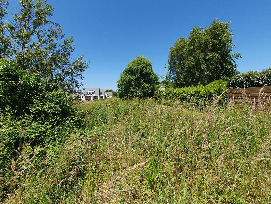 Terrain à ERDEVEN