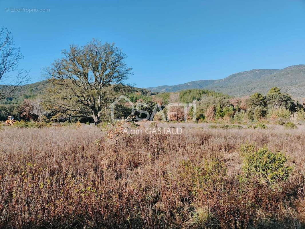 Photo 8 - Terrain à BORMES-LES-MIMOSAS