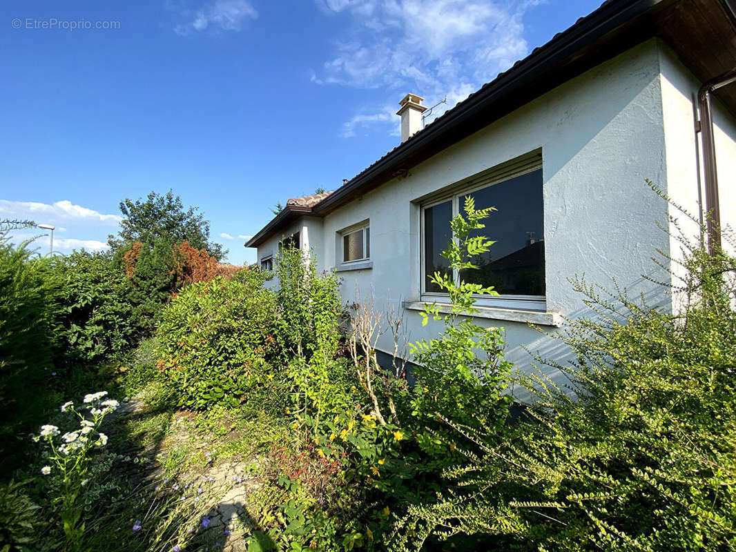 Maison à ZIMMERBACH