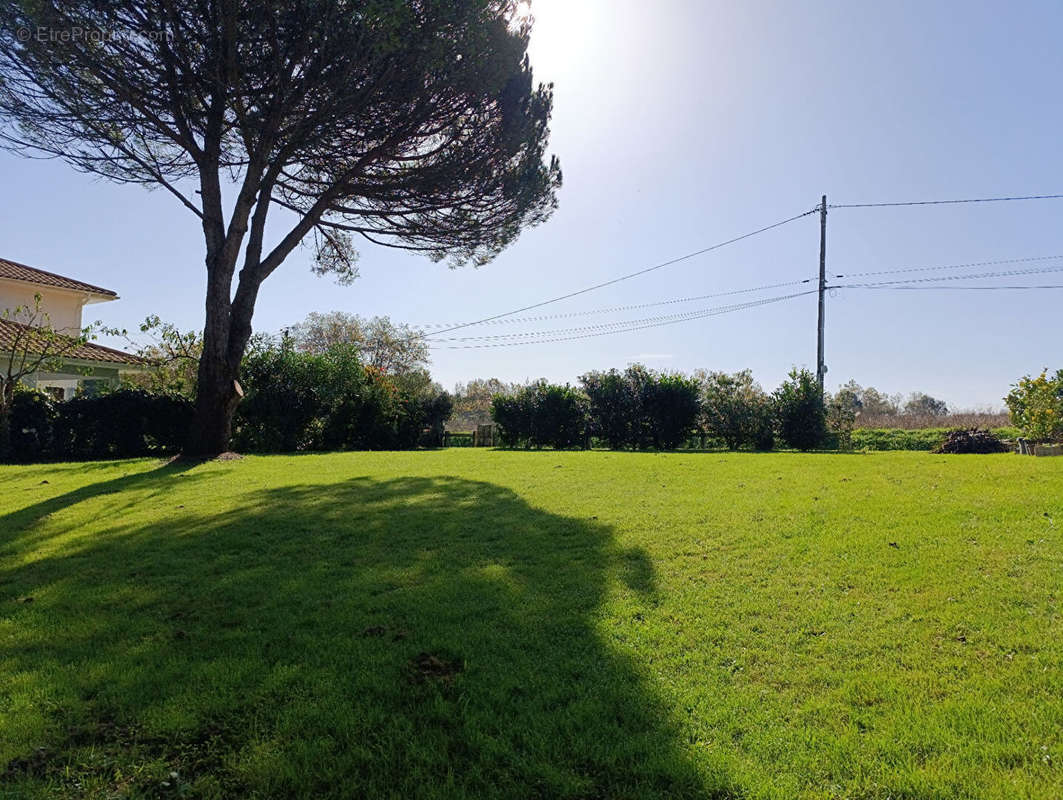 Terrain à SAINT-MARTIN-DE-SEIGNANX