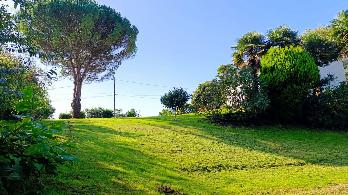 Terrain à SAINT-MARTIN-DE-SEIGNANX