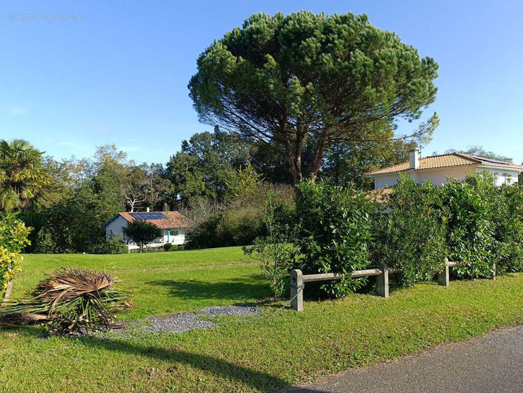 Terrain à SAINT-MARTIN-DE-SEIGNANX