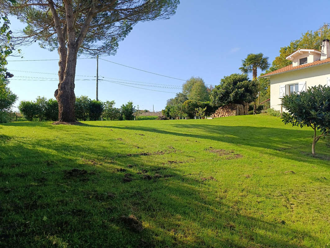 Terrain à SAINT-MARTIN-DE-SEIGNANX