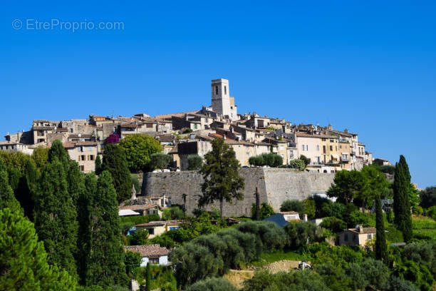 Commerce à MOUGINS