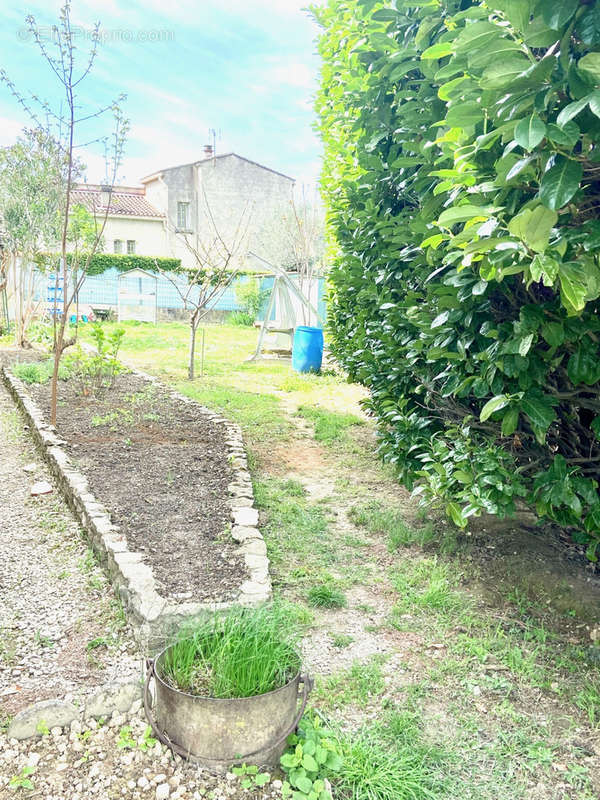 Maison à VAISON-LA-ROMAINE