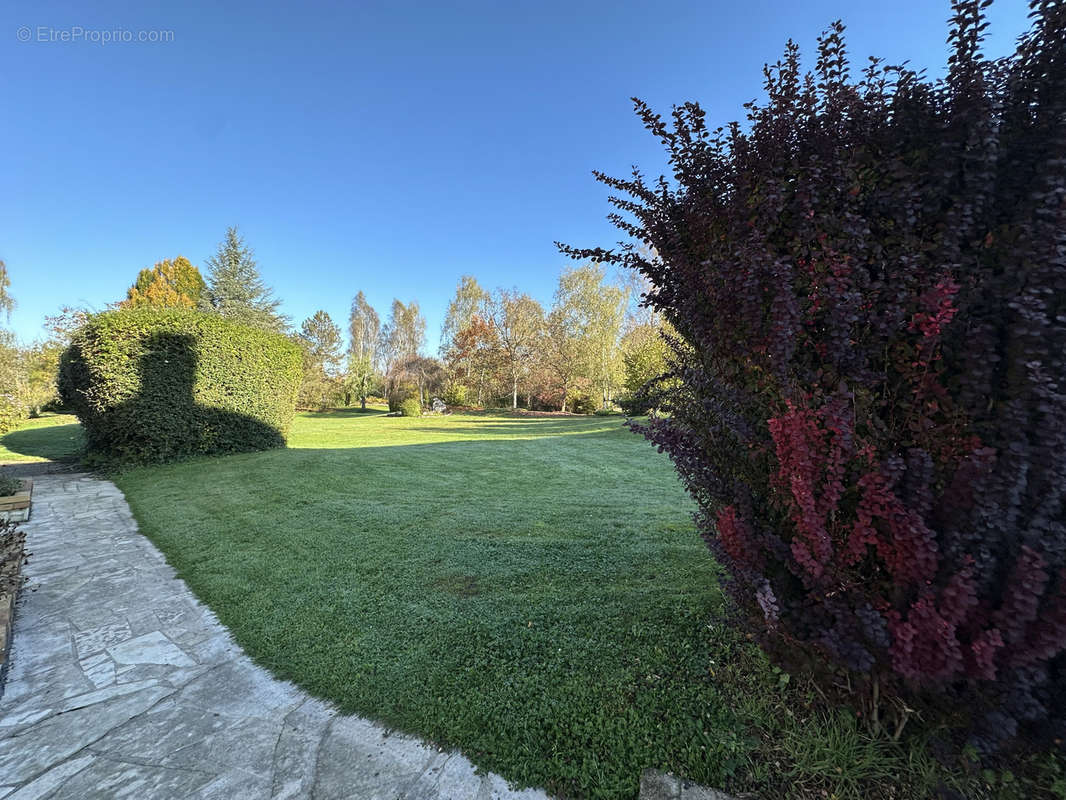 Maison à GERMIGNY-L&#039;EVEQUE