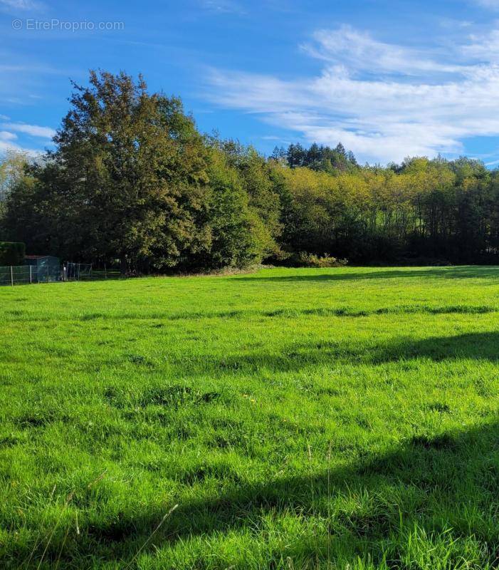 Terrain à COURPIERE