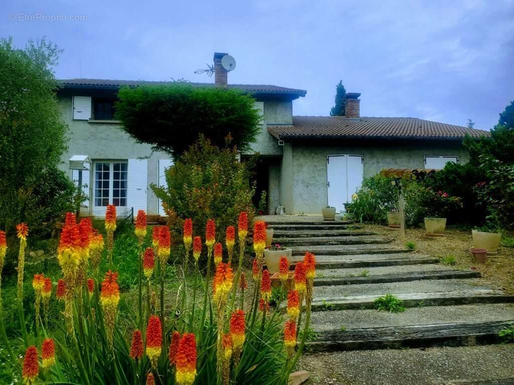 Maison à SAINT-BARTHELEMY