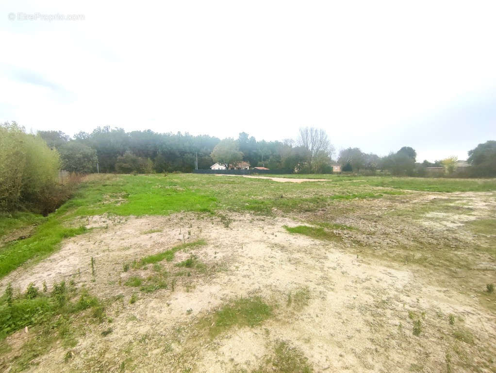 Terrain à MONTAUBAN