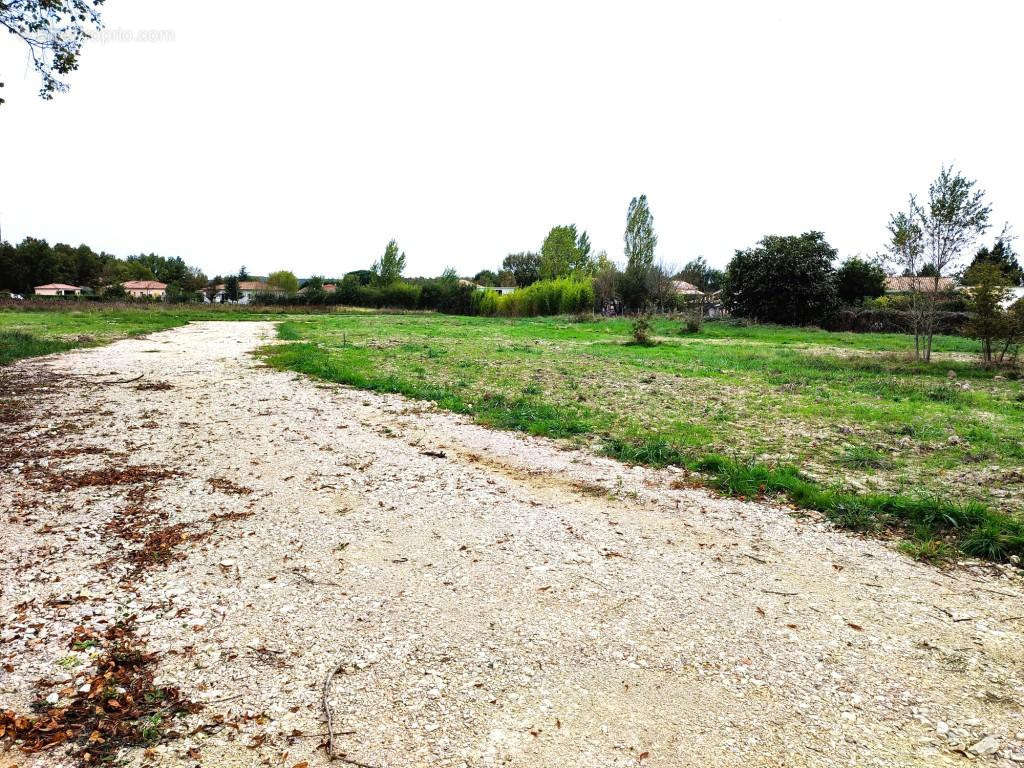 Terrain à MONTAUBAN