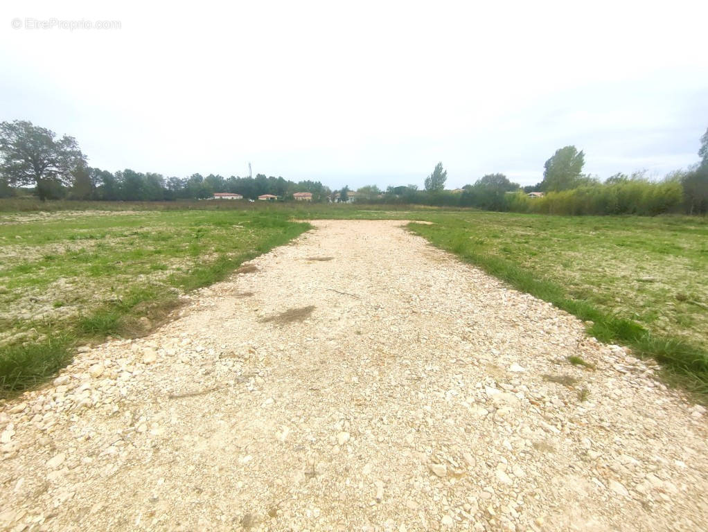 Terrain à MONTAUBAN