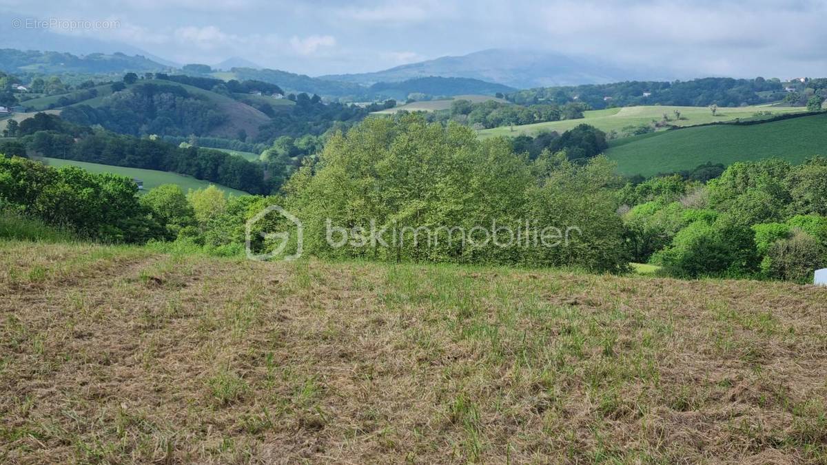 Terrain à LA BASTIDE-CLAIRENCE