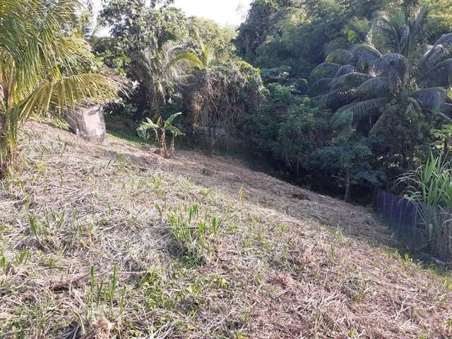 Terrain à FORT-DE-FRANCE