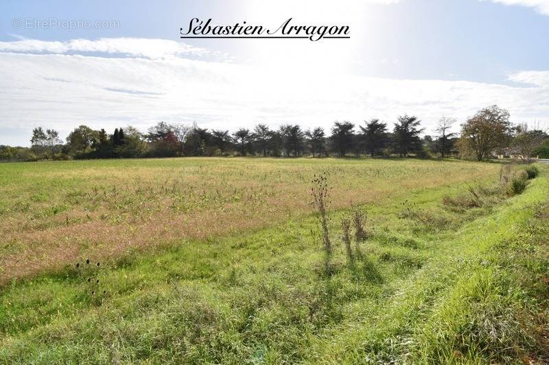 Terrain à VILLENEUVE-SUR-LOT