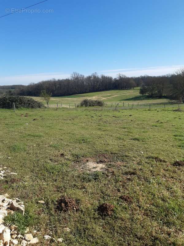 Terrain à LA ROCHEFOUCAULD