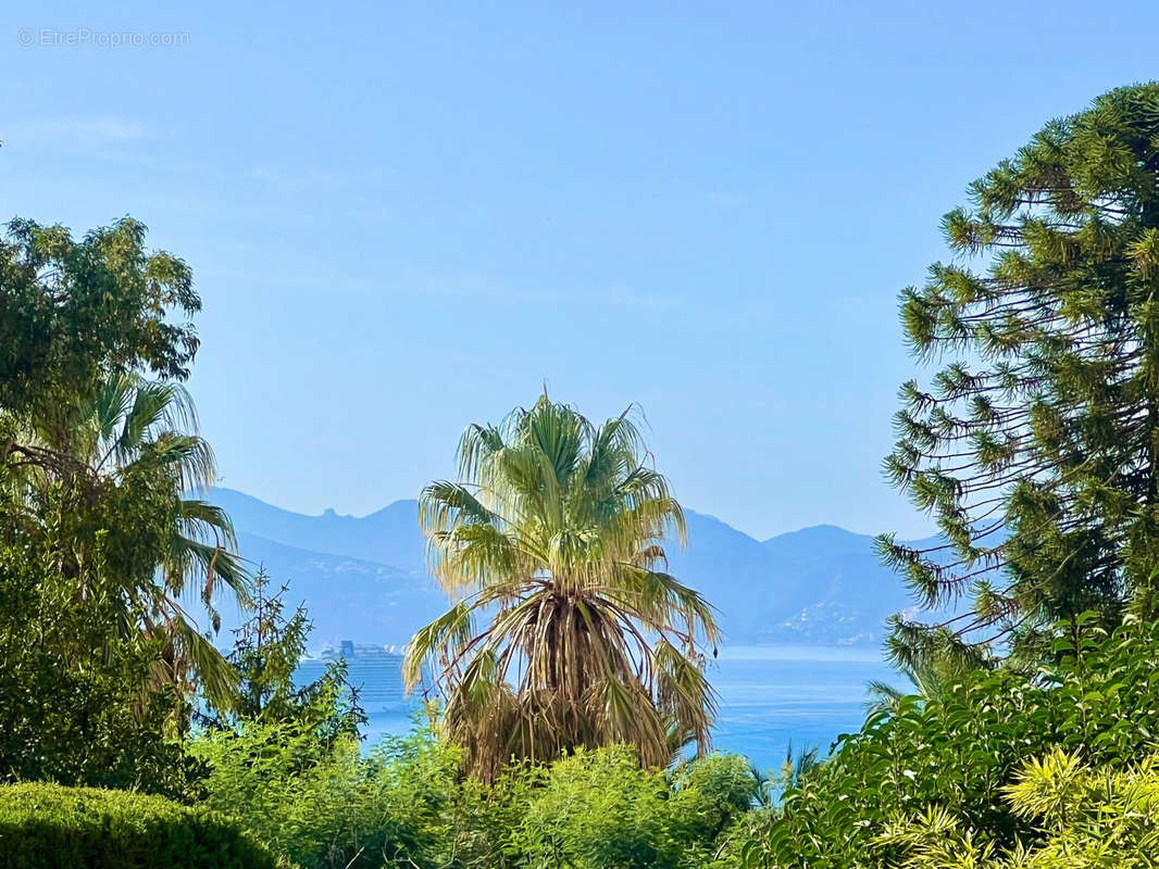 Maison à CANNES