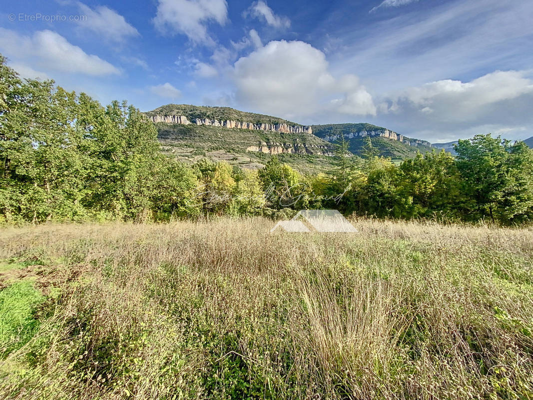 Terrain à MILLAU