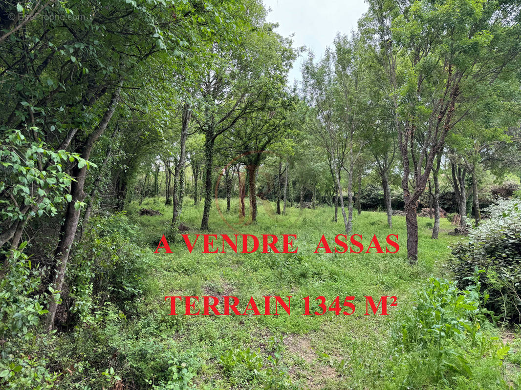 Terrain à ASSAS