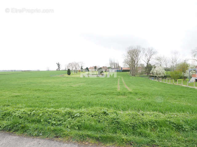 Terrain à HENIN-SUR-COJEUL