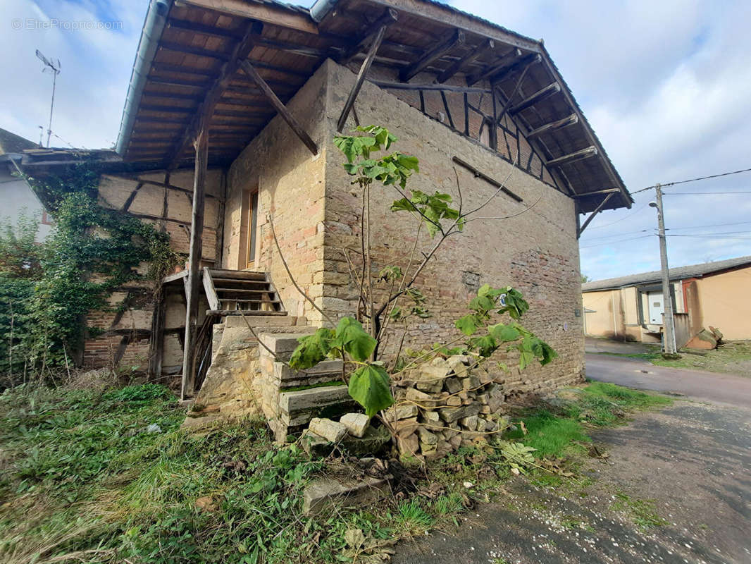 Maison à SAINT-TRIVIER-DE-COURTES