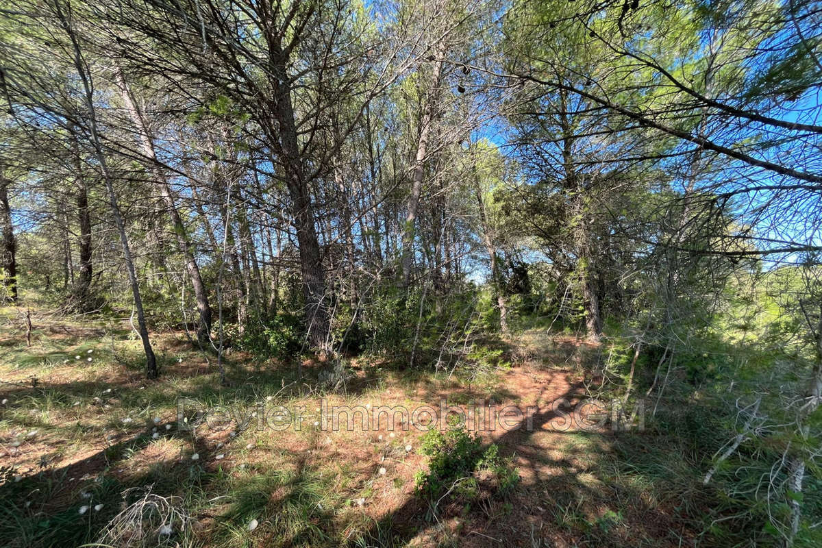 Terrain à SAINT-GENIES-DES-MOURGUES