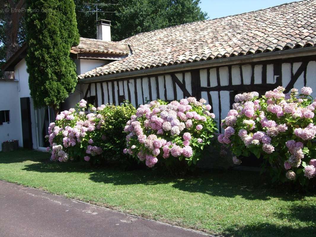 Maison à COUTRAS