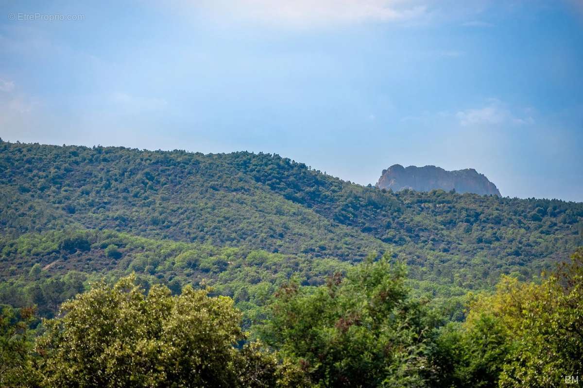 Appartement à ROQUEBRUNE-SUR-ARGENS