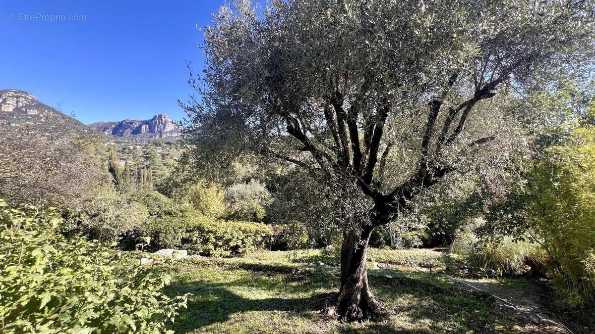 Maison à VENCE