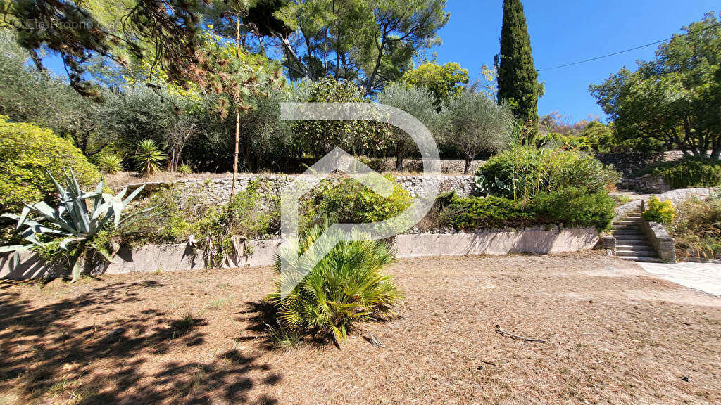 Terrain à MOUGINS