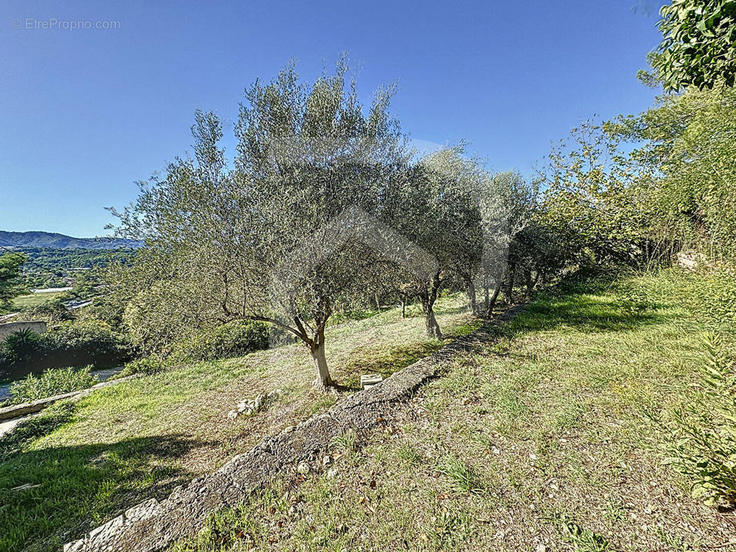 Terrain à MOUGINS